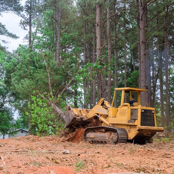 Land Clearing